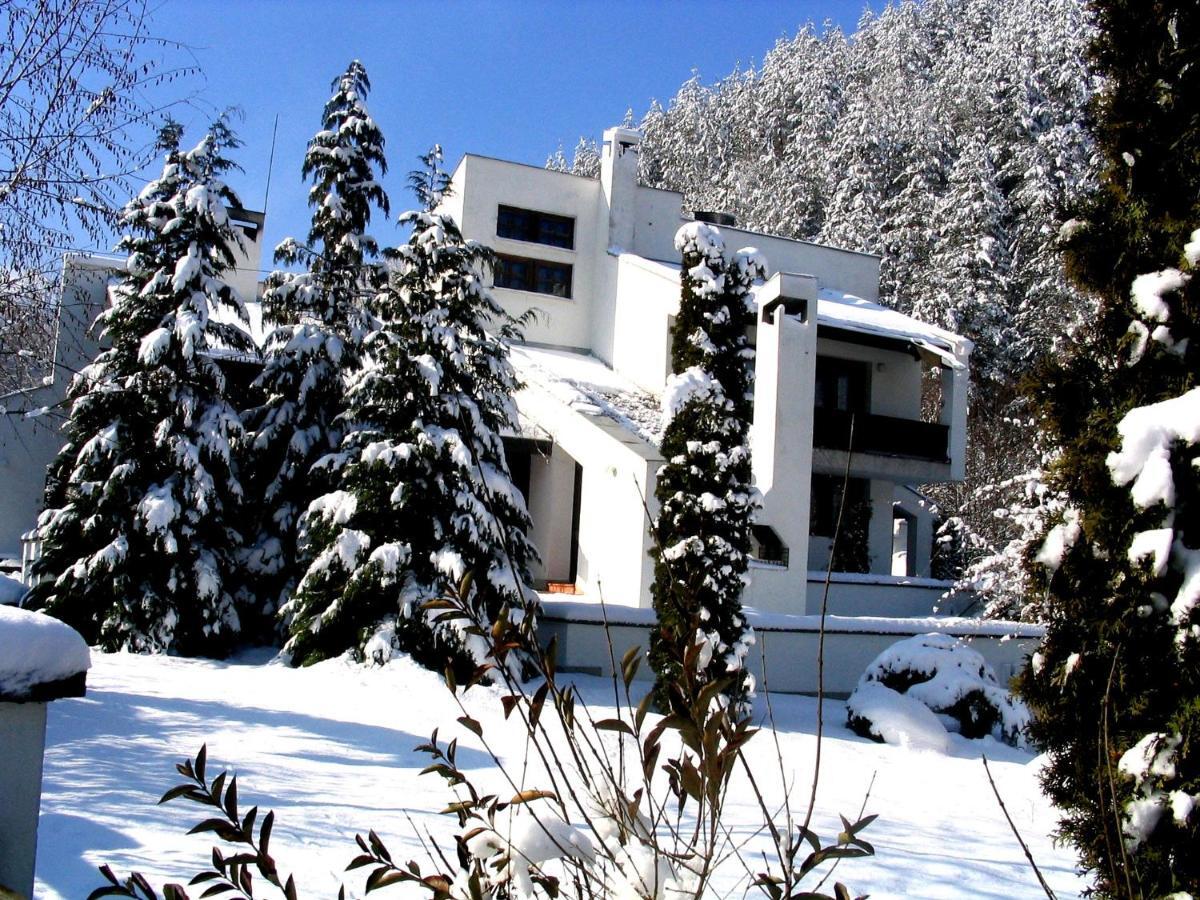 Мечтаната Селска Къща На Реката Със Семейство И Приятели! Ribarica Exterior foto