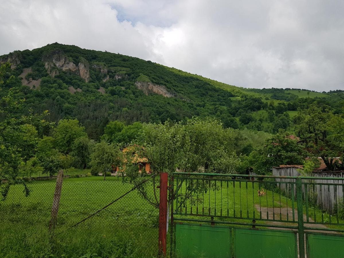 Мечтаната Селска Къща На Реката Със Семейство И Приятели! Ribarica Exterior foto